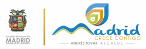 Alcaldia madrid